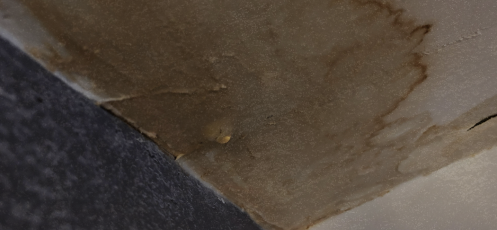 Water Damage Restoration Fort Mill, SC