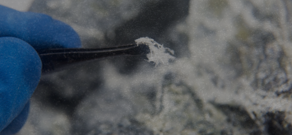 Asbestos Removal