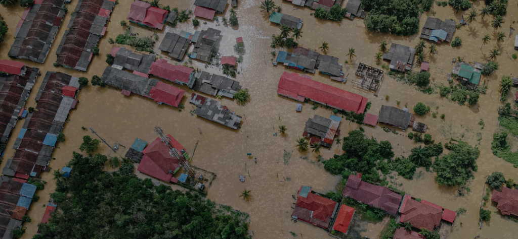 Water Damage Prevention & Leak Detection