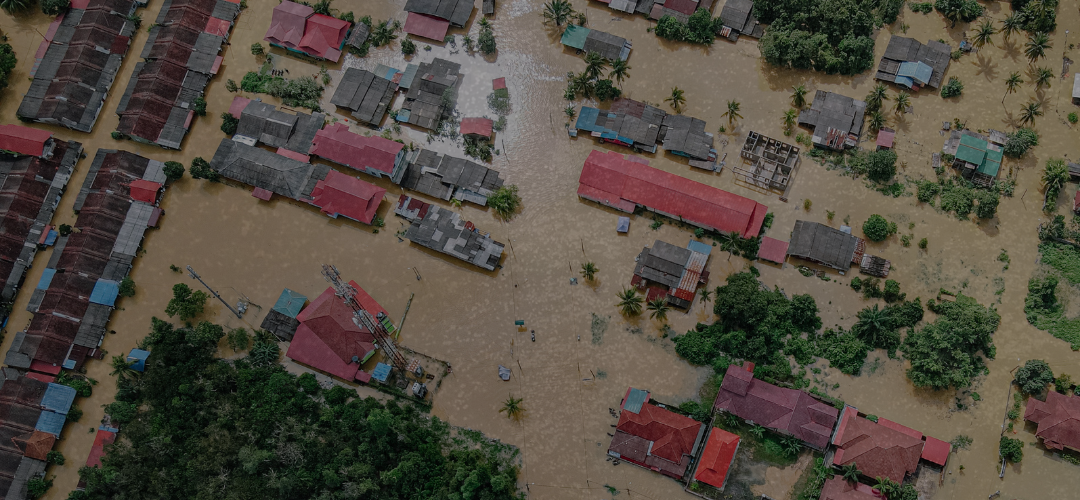 Water Damage Prevention & Leak Detection