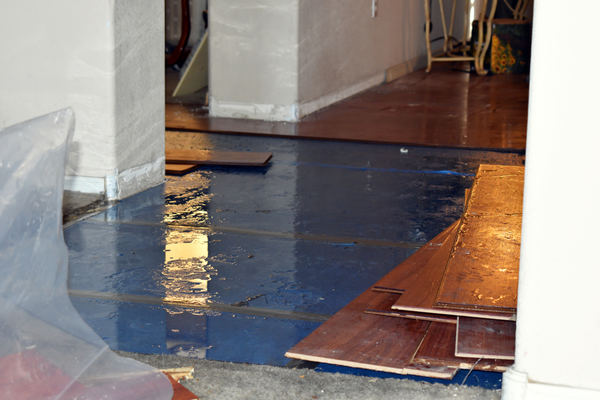 Water Damage Prevention & Leak Detection